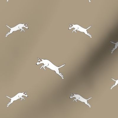 Parson Jack Russell Jumping-Beige