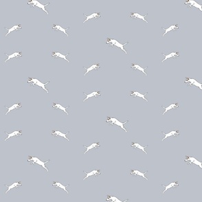 Parson Jack Russell Jumping-Grey