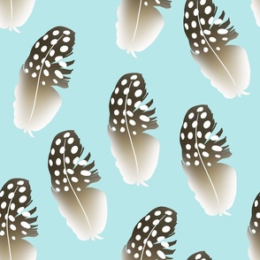 Guinea fowl feathers with light blue backgrounnd