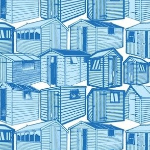 Sheds Pattern Design in Blues and White