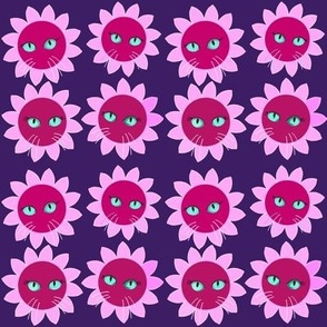 Pink kittyflowers on indigo 
