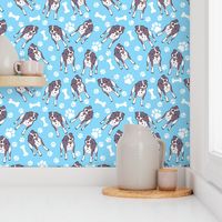 Pitbulls Cute Blue Background