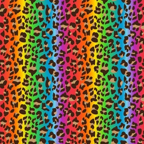 PurpleHeroes Boho Rainbow Cheetah Print Shirt