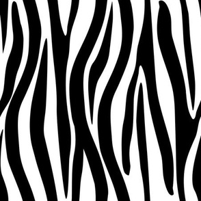 Zebra Skin, Zebra Print