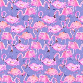 flamingos veri peri 2022 medium
