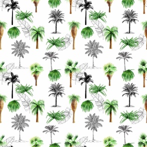 Palm Trees No. 2 White - Small Version