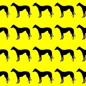 Black Greyhound Standing 1.5 Inch Martingale on Yellow