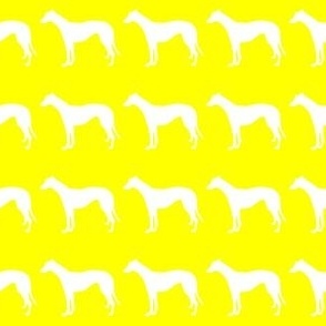 White Greyhound 1.5 Inch Martingale on Yellow