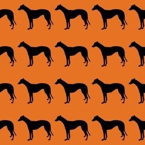 Black Greyhound 1.5 Inch Martingale on Carrot Orange