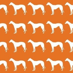 Greyhound 1.5 Inch Martingale White on Carrot Orange