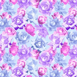 BLUE PURPLE PINK ROSES 24