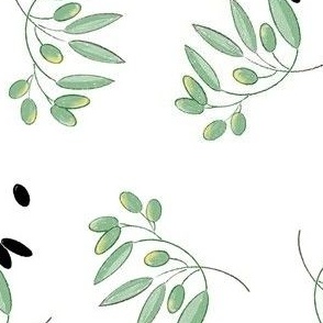 Olive branches, black olives, on white