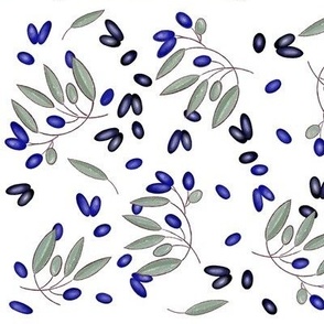 Olives, blue, black, branches on white