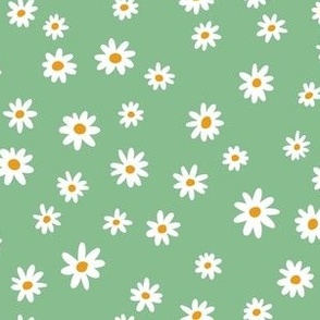 Daisies - green