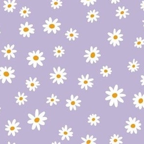 Daisies - lavendar