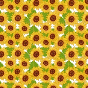 Sunflower sol