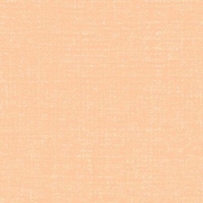 Textured Light Peach_Iveta Abolina