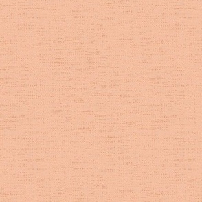 Horizontal Textured Solid in Apricot