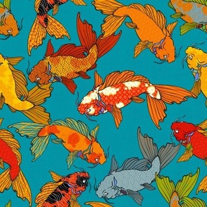 Spectacular Koi on a turquoise background