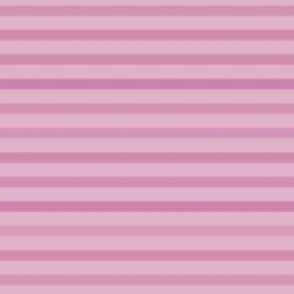 Peony faded stripes -coordinate