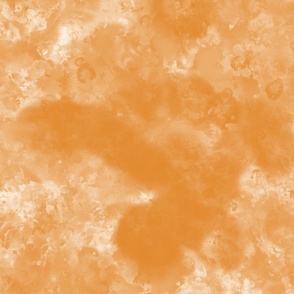 Desert Orange
