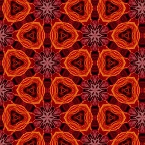 Crimson Kaleidoscope