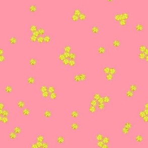 Large Australian Native Wattle blooms with pink background