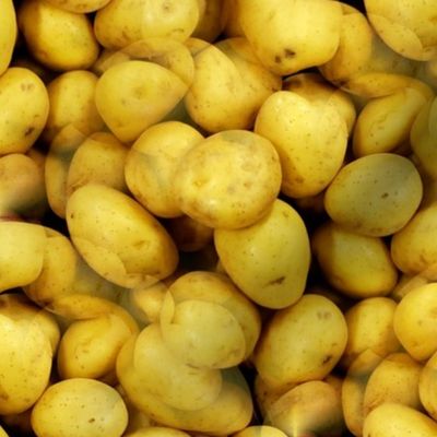 yellow potatoes