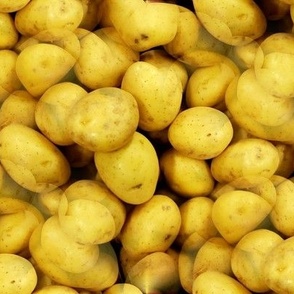 yellow potatoes