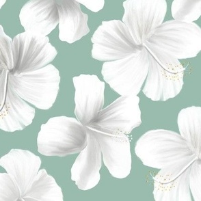 soft watercolour hibiscus floral  - aqua