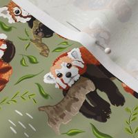 Red Panda on Green small scale