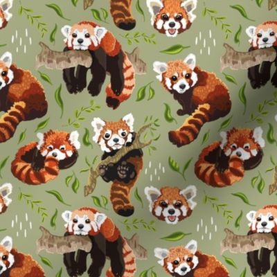 Red Panda on Green small scale