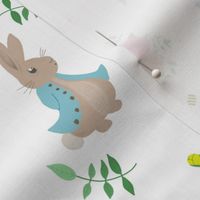 Peter rabbit inspired  original multi