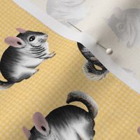 Adorable Chinchillas on Yellow Burlap by Brittanylane