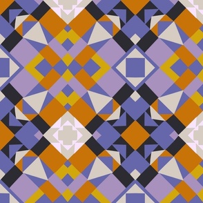 Veri Geometric