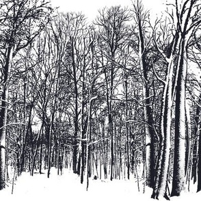 Repeating snow-covered trees