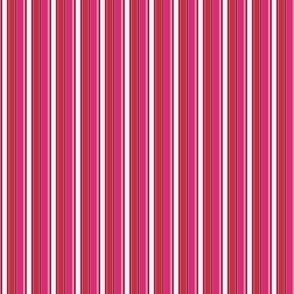 Valentine Thin Candy Stripes 4