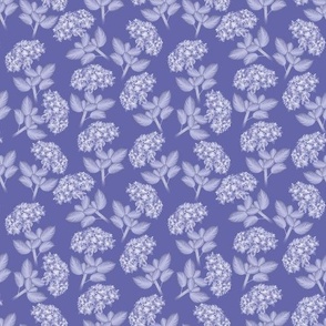 Hydrangeas on Very Peri Purple