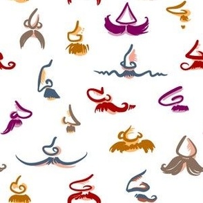 Noses and mustaches (coloured on white)