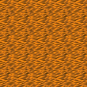 Tiger stripes - Small scale