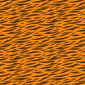 Tiger stripes - Medium scale