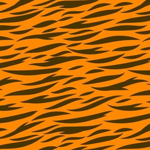Tiger stripes - Large scale