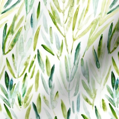 Eucalyptus leaves #3 - watercolor nature for modern home decorp171-12-26