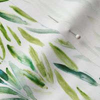 Eucalyptus leaves #3 - watercolor nature for modern home decorp171-12-26