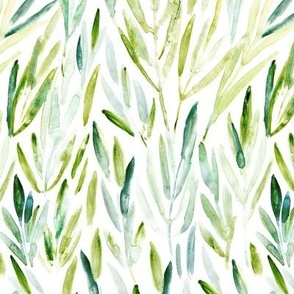 Eucalyptus leaves #3 - watercolor nature for modern home decorp171-12-26