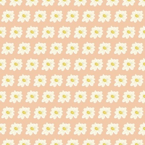 country-garden-daisy-pink-maeby-wild