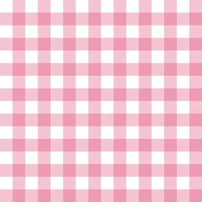 1/2" Gingham Check- pink // Becks Bakery collection