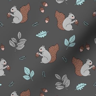 Little squirrel woodland animals and leaves acorns and forest leaf kids design soft blue gray on charcoal boys 