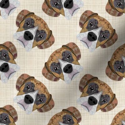 BROWN BOXER PATTERN BEIGE 8