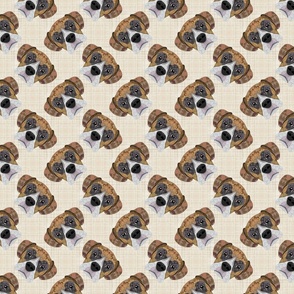 BROWN BOXER PATTERN BEIGE 8